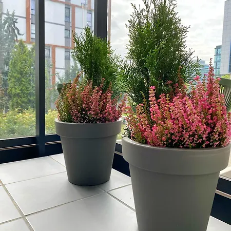 Living Point Mokotow דירה ורשה